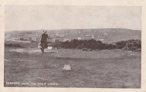 gallery image - Seaford from the Golf Links